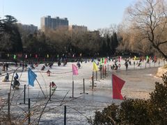 -紫竹院公园冰场