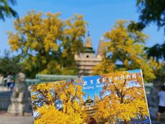 -北京石刻艺术博物馆(五塔寺)