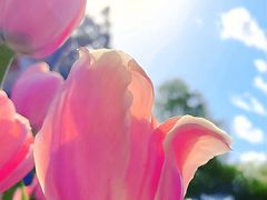 -北陵公园