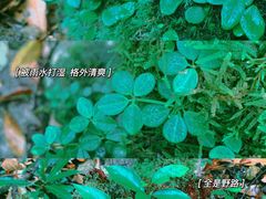 -锦州笔架山风景区