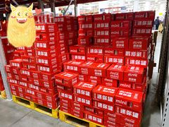 -山姆会员商店(亦庄创意生活广场店)