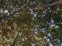 -北京市朝阳区三间房社区卫生服务中心