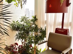 -瑶舍头疗·瑶浴·芳香热石SPA(五洲国际店)