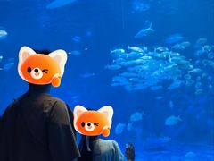 -鹿儿岛水族馆