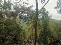 -野象谷景区