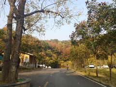 -团城山公园