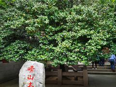 -崂山巨峰游览区