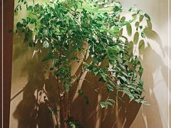 -合和大唐(江夏纸坊店)