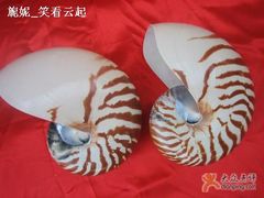 -亚龙湾中心广场·贝壳馆