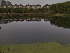 -马家湾湿地公园