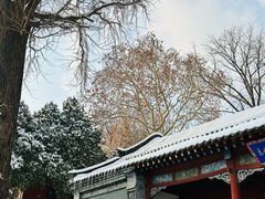 -泰山风景名胜区-普照寺