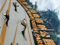 -西双版纳原始森林公园