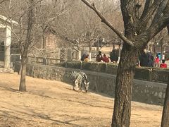 -石家庄市动物园