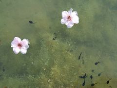 -白塘生态植物园