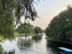 -上海共青森林公园