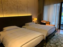 -上海崇明金茂凯悦酒店