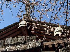 -三垟湿地