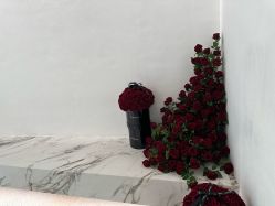 -JIE FLYING·烫发·染发