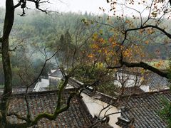-塔川景区