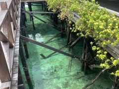 -卡帕莱度假村(西巴丹岛)