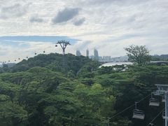 -圣淘沙天际线斜坡滑车