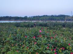 -廊坊文化艺术中心