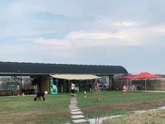 -美家乐农庄·露营·团建(大治路店)