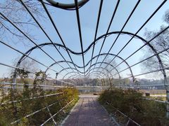 -长春市南湖公园