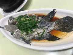 -龙记烧腊茶餐厅(常德路店)