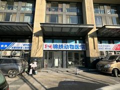 -喜多萌中农锦绣动物医院24H·猫科·牙科MRI·CT