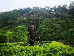 -大屏嶂森林公园