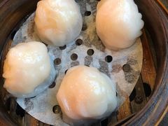 添运来虾饺皇-添运来(茶园奥园广场店)
