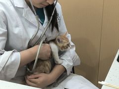-贝利宠物医院·骨科·眼科·肿瘤转诊中心(南坪诊疗中心)