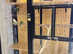 -太湖饭店玉兰厅(自助餐厅)