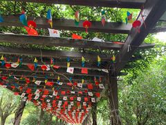 -白马涧龙池景区