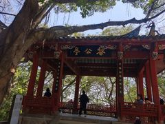 -乌山风景区