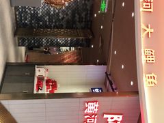 -阿五黄河大鲤鱼(海尚店)