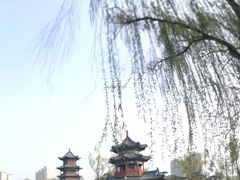 -迎泽公园