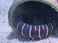 -大连老虎滩海洋公园