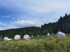 -武陵山森林公园