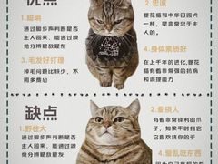 -翊宠yipet猫狗购宠庄园犬舍•猫舍