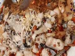 -佳兰雅序融合菜(高新店)