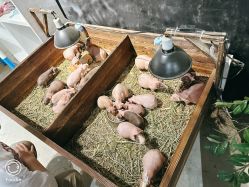 -酷嗒动物文化乐园(cutezoo西溪乐天城店)