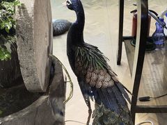 -衣裳街历史文化街区