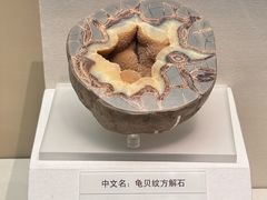 -天津自然博物馆