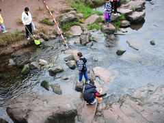 -重庆彩云湖湿地公园