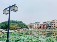 -姚林轩