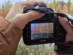 -白鹭湾湿地公园