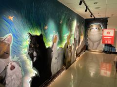 -猫腻·猫咖·撸猫馆(星光大道店)