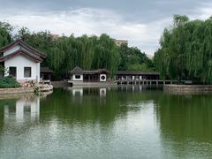 -团结湖公园